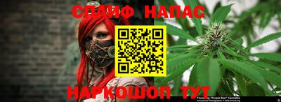 apvp Будённовск