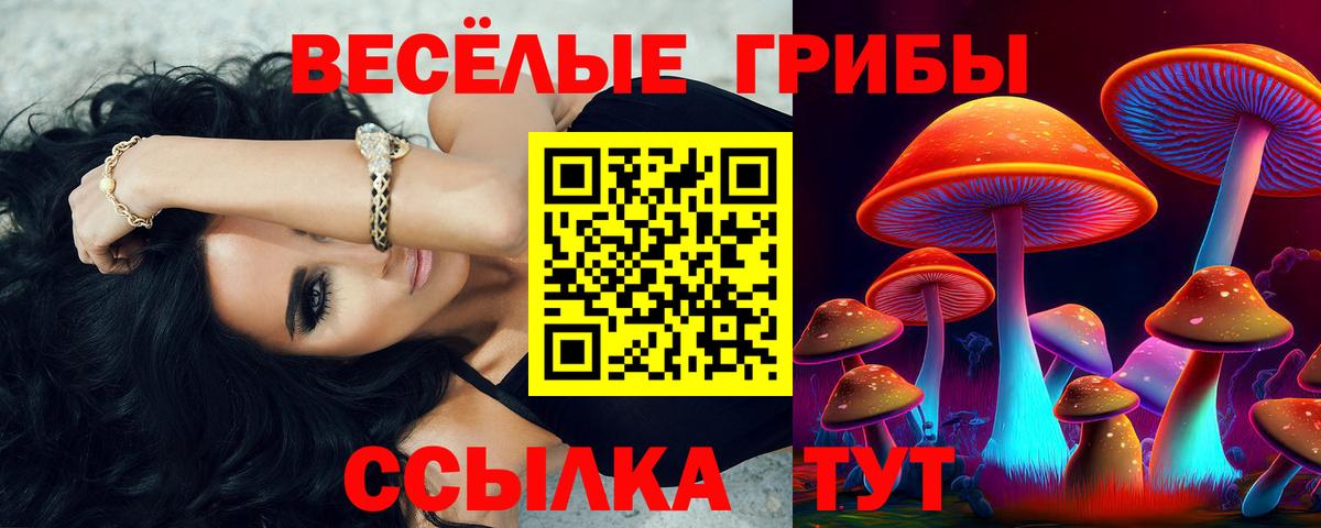 Псилоцибиновые грибы ЛСД Кубинка